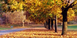 Herbst