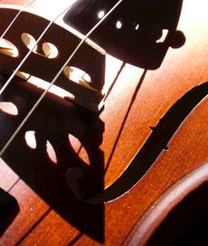 Kleines Sommerkonzert im Park