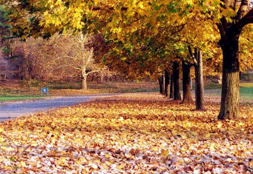 Herbst