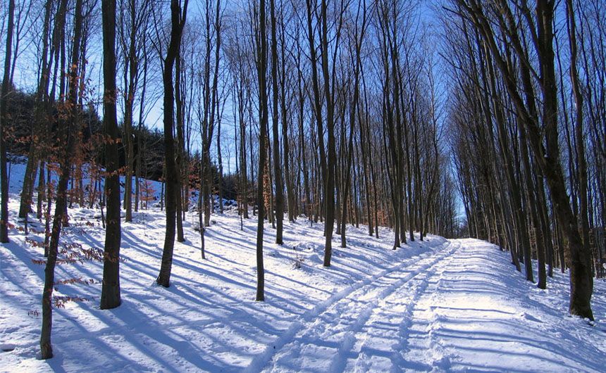 Winterweg