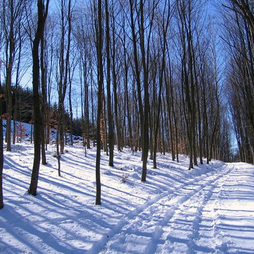 Winterweg