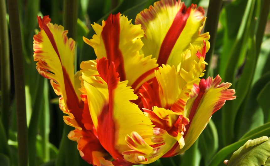 Frühlingsfarben