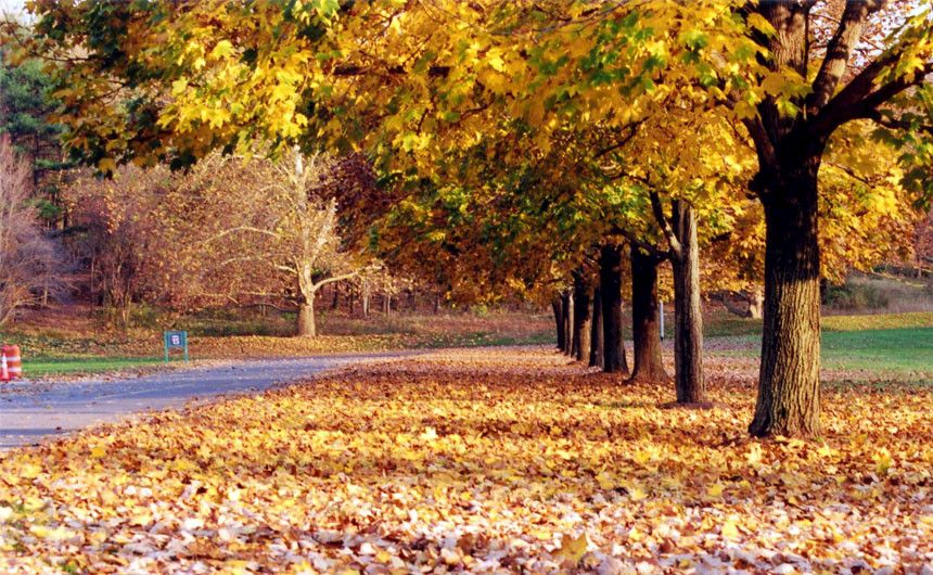 Herbstliche Landschaft