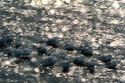 kühles Wasser