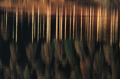 Wasserspiegelungen