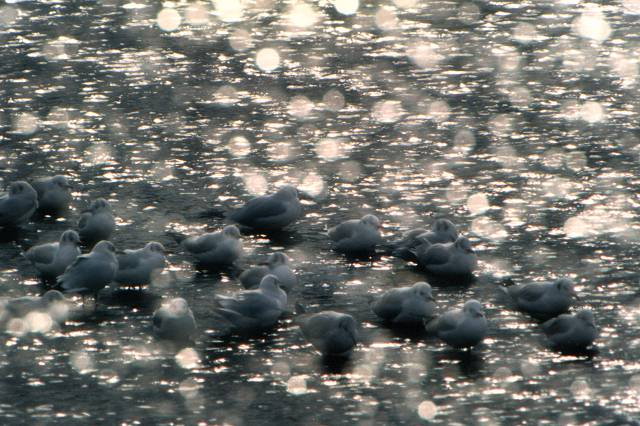 kühles Wasser