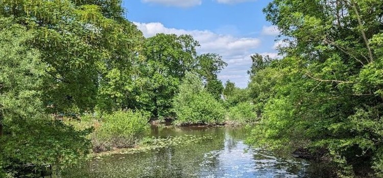Gewässertyp des Jahres 2026: Kleine Gewässer, große Bedeutung