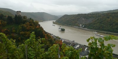 Rhein-Langstreckenfahrt