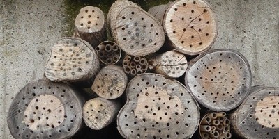 Endspurt im DKV-Wettbewerb Insektenhotel Teil 1