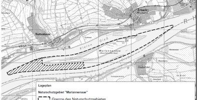 Rhein: Schutzanordnung im Naturschutzgebiet Mariannenaue