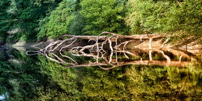 Bäume drohen in den Glan zu stürzen