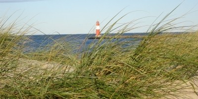 Cleanup in Warnemünde am 12. März 2016