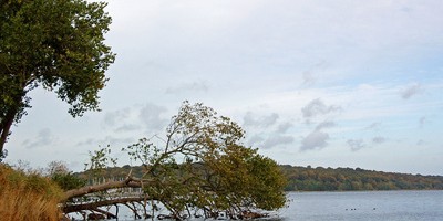 Nach den Unwettern in Deutschland