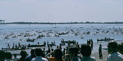 Hunderte paddeln bei der Weser-Tidenrallye mit den Gezeiten
