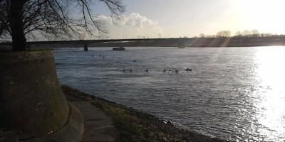 WIldwasser-Lehrgang in Düsseldorf - es war einfach ein Gedicht!