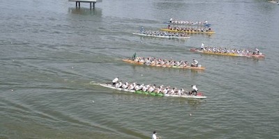 Brandenburger Drachenbootfestival