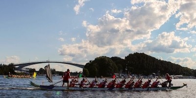 17. Schiersteiner Drachenboot-Regatta