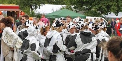 Spannende Rennen beim 8. Ratzeburger Drachenbootfest