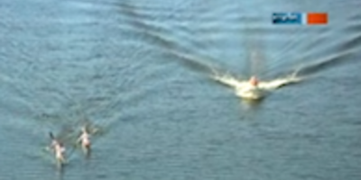 Videobeitrag aus dem Trainingslager in Florida