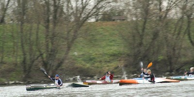 Wintercuprennen auf der Donau