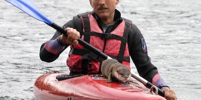 Düsseldorfs bekanntester Vierbeiner Ehrenmitglied bei den Freien Wasserfahrern