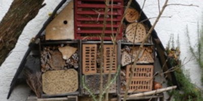 Endspurt im DKV-Wettbewerb Insektenhotel Teil 2