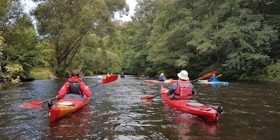 NRW-Einzelmitglieder paddeln auf Ruhr und Rur in den Herbst