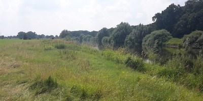 Naturschützer und Kanuten rücken zusammen: Gemeinsame Ökoschulung beim WSV Verden
