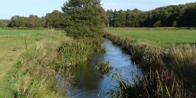 Paddeln auf der Lehrde im Frühjahr und Sommer verboten