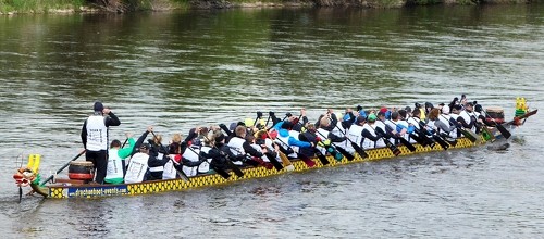 Premiere für 50er Drachenboot beim Wesermarathon