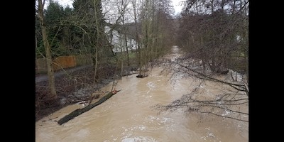 Deutscher Kanu-Verband mahnt besonnene Diskussion zum Thema Hochwasserbefahrungen an